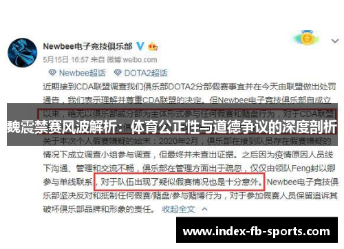 魏震禁赛风波解析：体育公正性与道德争议的深度剖析
