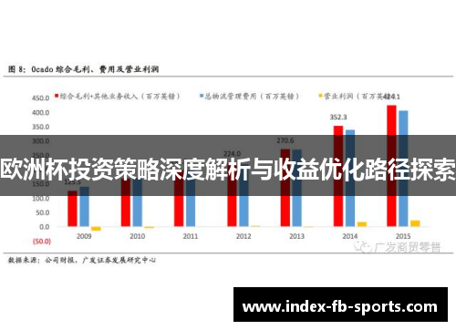 欧洲杯投资策略深度解析与收益优化路径探索