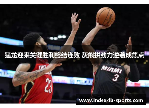 猛龙迎来关键胜利终结连败 灰熊拼劲力逆袭成焦点