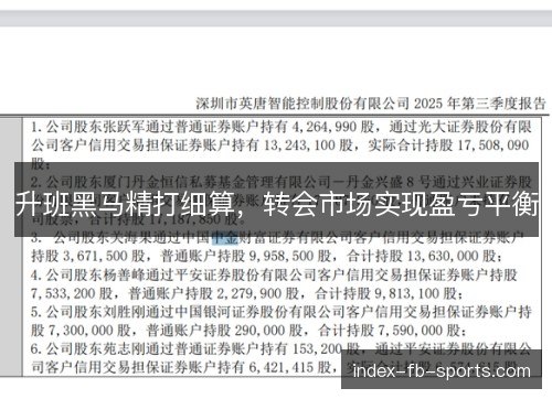 升班黑马精打细算，转会市场实现盈亏平衡